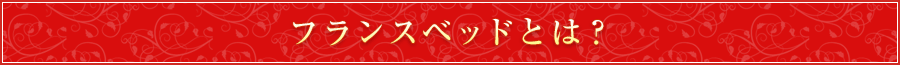 フランスベッドとは？